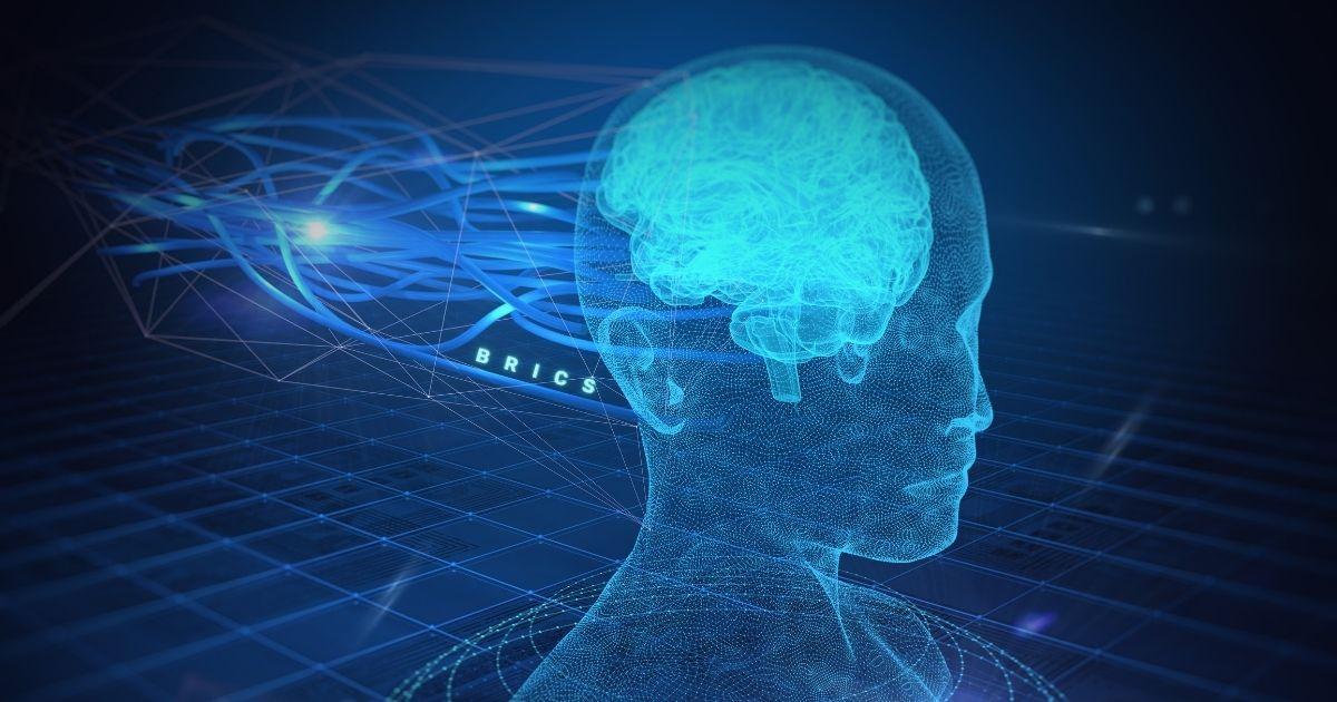 Brics Network University Itg Economics Round Table «approaches to a Brics Centric International Monetary System» (7)